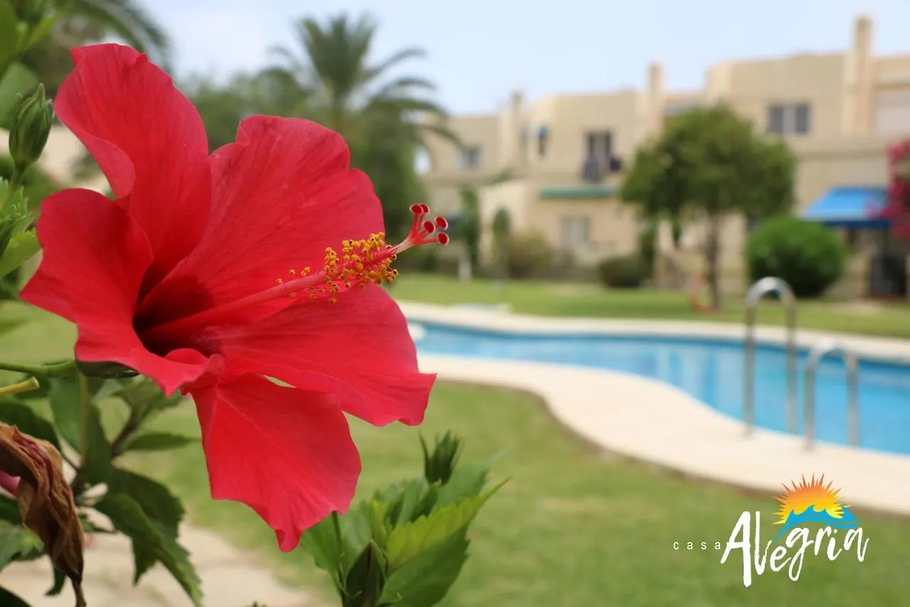 Captivating 2-Bed Beachside Apartment In Mojacar La Marina de la Torre Spain